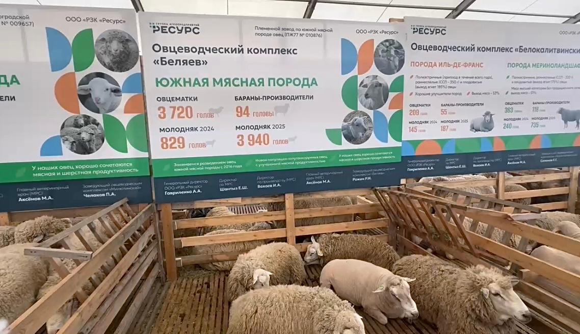 Изображение новости